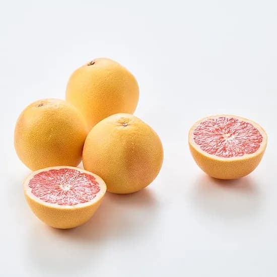 남아공산 자몽 1.5kg 1개 9,900원