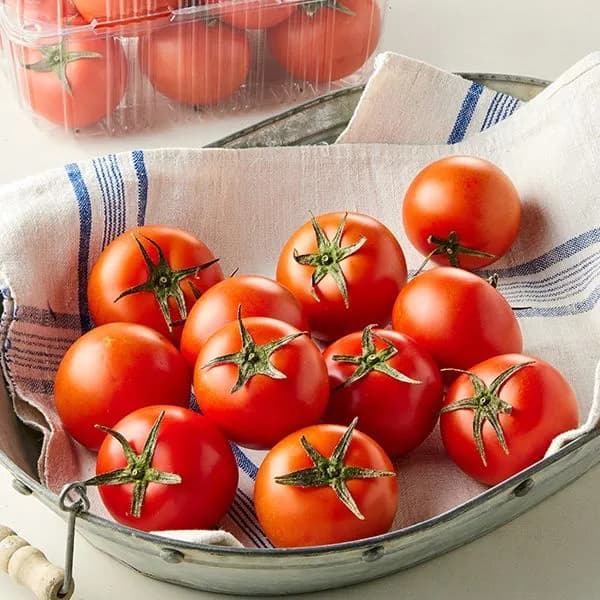 무농약 완숙토마토 1.5kg 1개