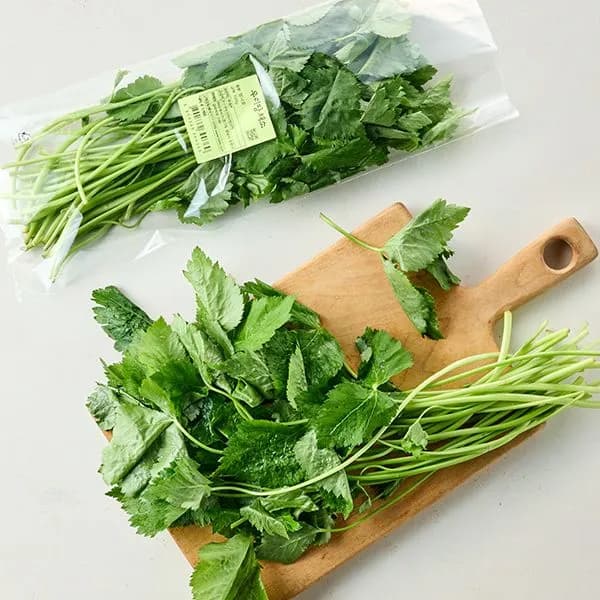 국내산 참나물 100g 1개