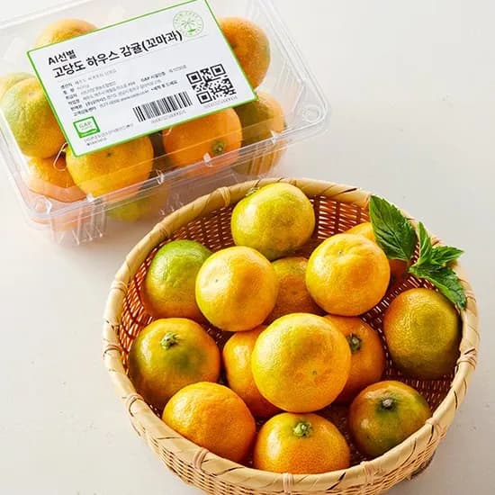 12Brix Ai선별 제주 하우스감귤 꼬마과 600g 1개