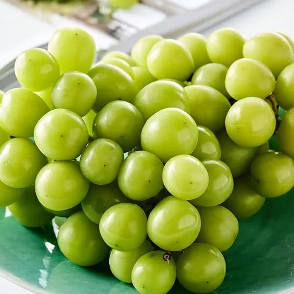 샤인머스캣 1kg 1개 12,300원