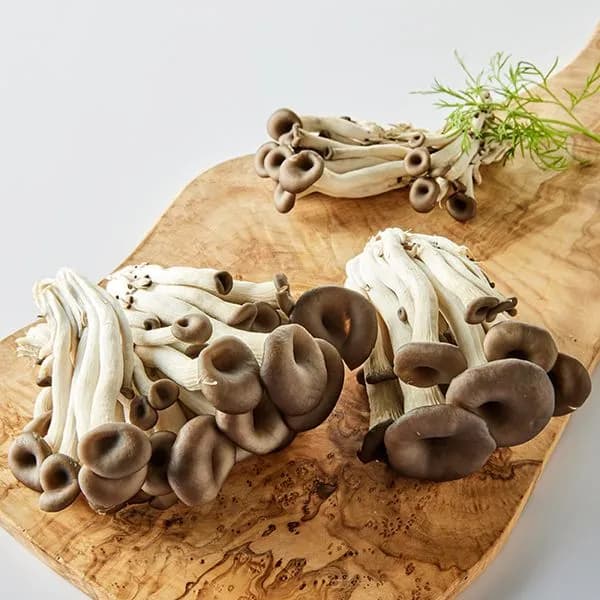 GAP 무농약 느타리버섯 200g 1개 1,280원