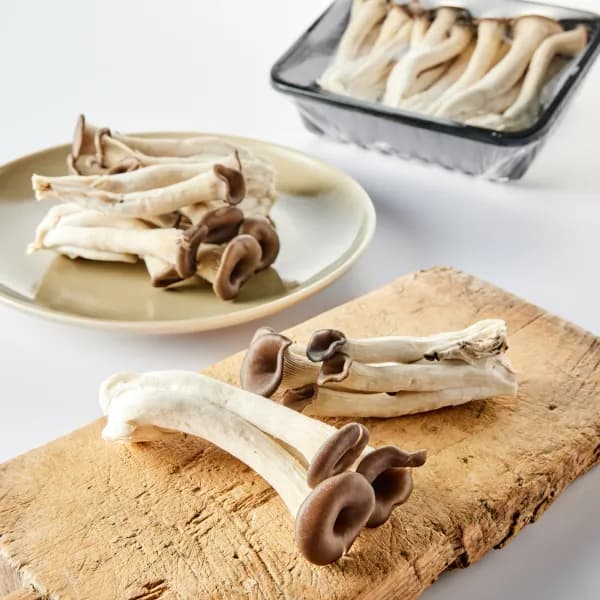 GAP 무농약 참타리버섯 150g 1개