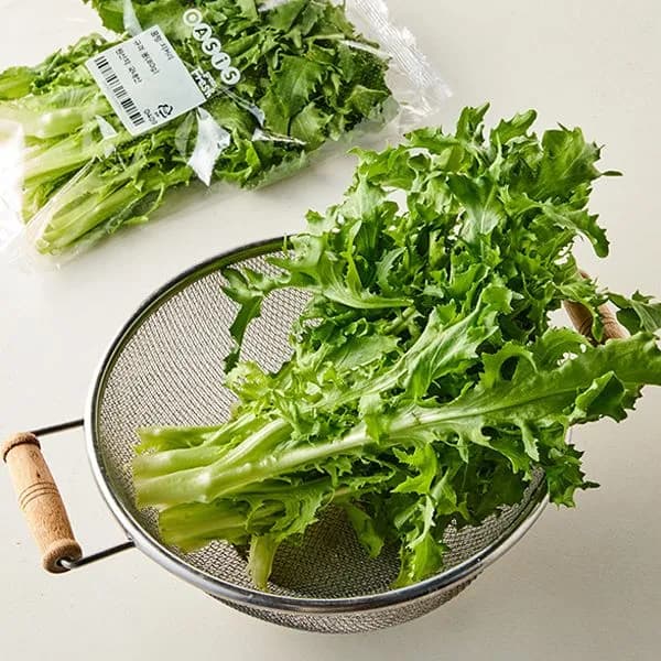 국내산 치커리 100g 1개 1,300원