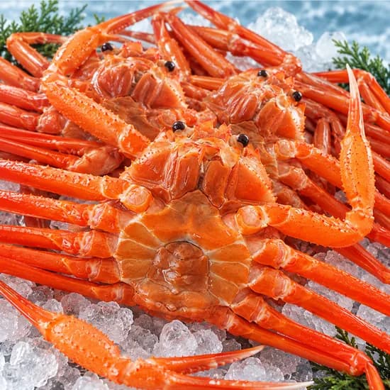 오늘담 포항 자숙 연지홍게 수율 70% 내외 3kg 1박스