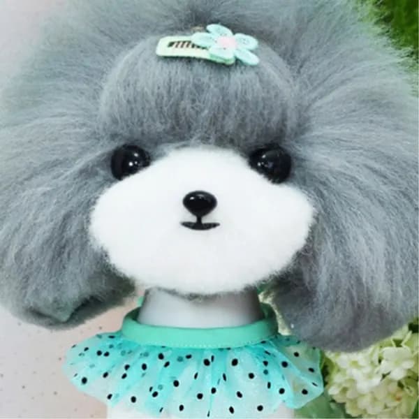 강아지 케이프 땡땡이 10개 18,500원