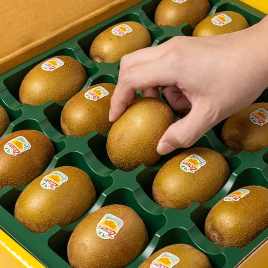제스프리 골드키위 선물세트 대과 2.2kg 20개 1박스