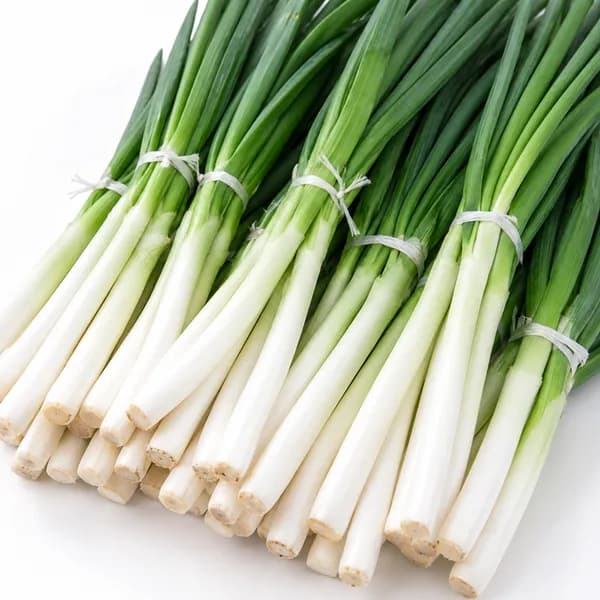 국내산 손질대파 800g 1개 7,500원