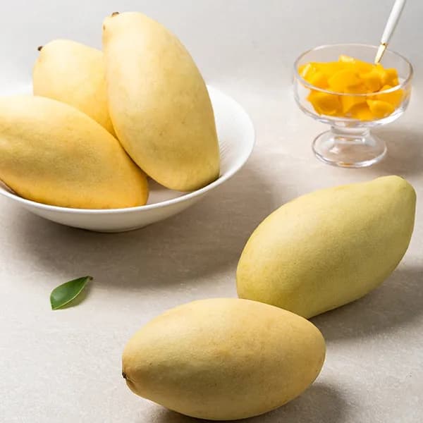 베트남 께오 골드망고 2kg 1박스