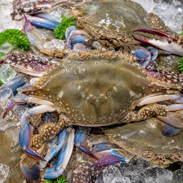 부자밥상 서해안 급냉 숫꽃게 1kg 3-5미