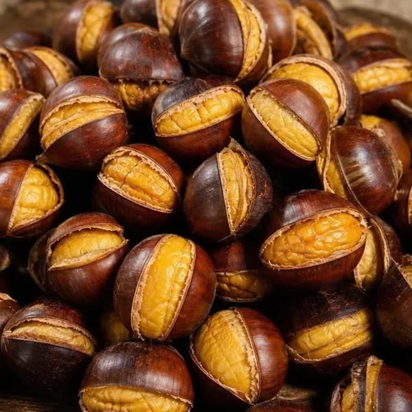 공주 칼집 햇밤 약단밤 국내산 2kg 1개