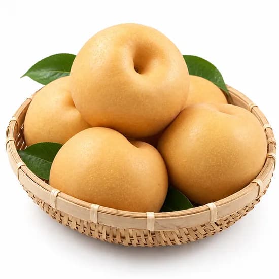 국내산 햇 배 대과 5kg 1개