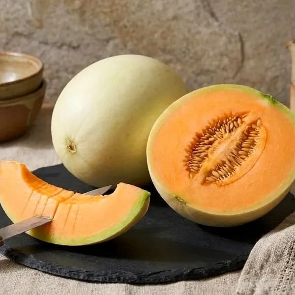 국내산 신품종 슈가캔디 메론 솜사탕 멜론 1.3kg 1개
