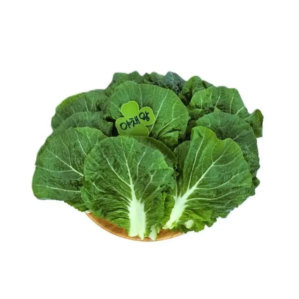 야채왕 쌈배추 1kg