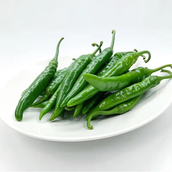 야채왕 아삭이고추 오이고추 국내산 1kg