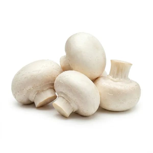 야채왕 양송이버섯 500g 1개