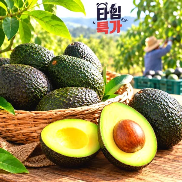 생 아보카도 대과 220g 5개 15,400원
