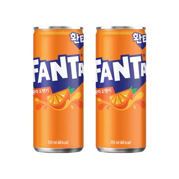 환타 오렌지 250ml 30캔