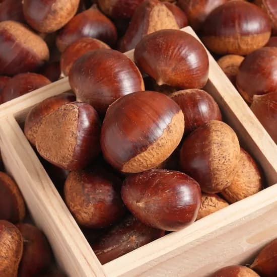 공주 햇 밤 특품 5kg 1박스