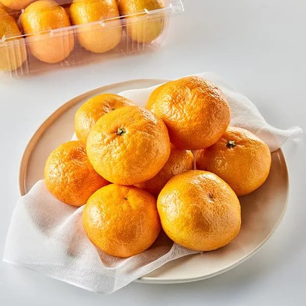 저탄소 노지밀감 로얄과 1kg