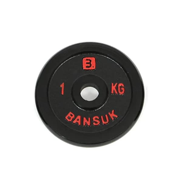 반석스포츠 블랙바벨 덤벨 원판 블랙 10kg 1개