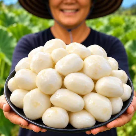 국내산 곡성 햇 깐토란 500g 1팩