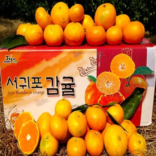 제주황금농원 서귀포효돈 감귤 중과 5kg 1박스