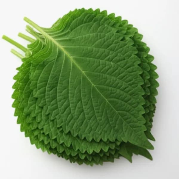류정푸드 산지직송 국내산 깻잎 60g 30입 2개
