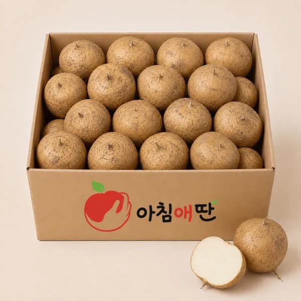 슈퍼푸드 아삭 히카마 멕시코감자 1kg 1박스 7,400원