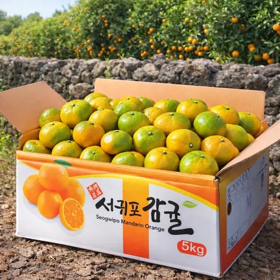 제주 서귀포 감귤, 12brix 초고당도, 5kg, 1박스