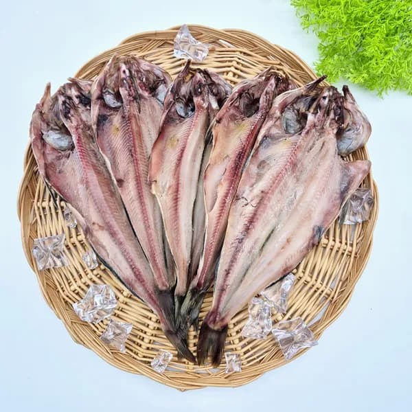 싱싱햇 미국산 반건조 대임연수 1kg 5마리