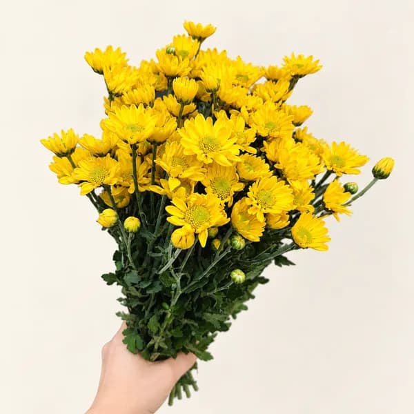 꽃마음결 소국 생화 꽃다발 노란색 13,700원