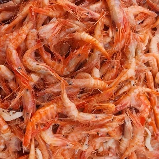 금마을 국내산 신안산 북새우젓 1kg 1개