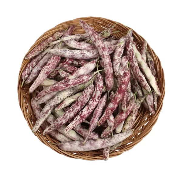국내산 햇호랑이콩 강낭콩 500g 1박스