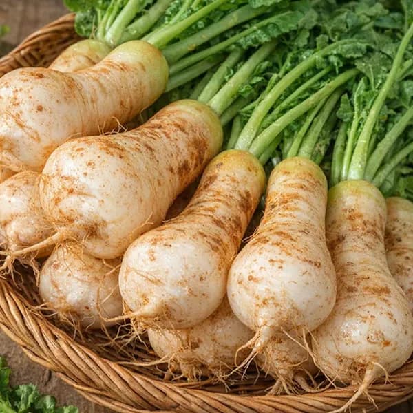 여수 농장직송 황토노지 알타리무 3kg 1박스 17,500원