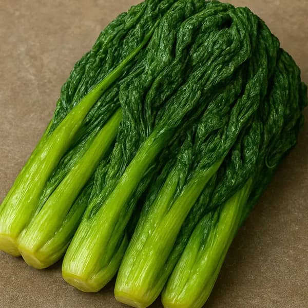 여수 돌산 절임갓 3kg 1박스