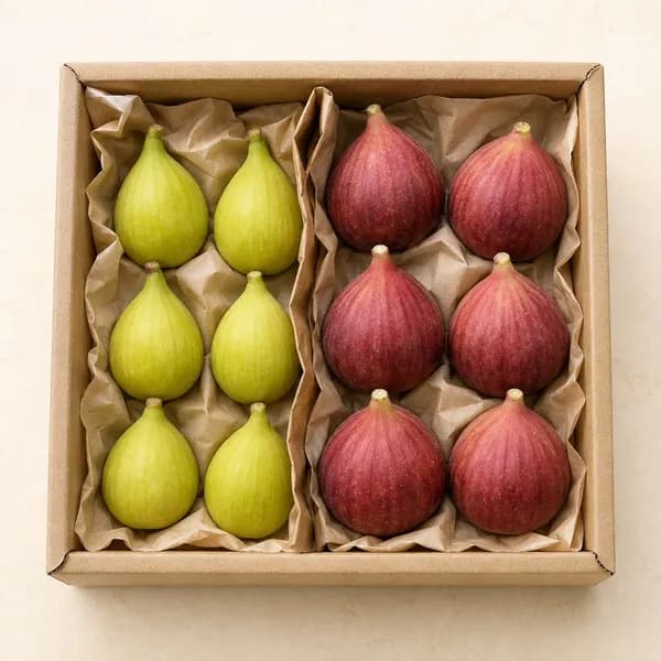 영암 홍무화과 1kg 2팩