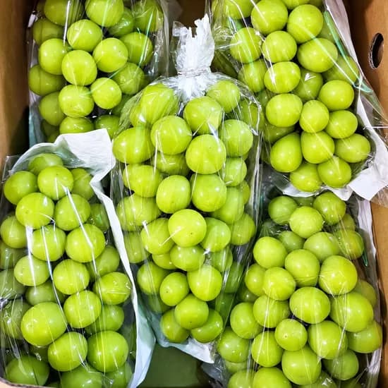 고당도 샤인머스캣 5kg 10-11수 1박스