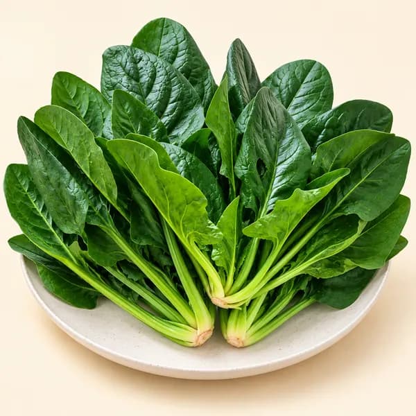 김채소 국내산 시금치 1kg 1박스 9,500원