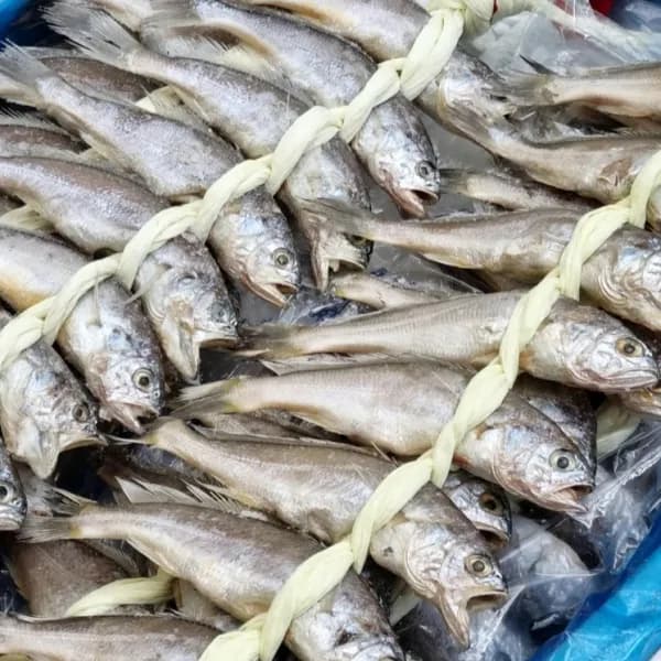 법성포 영광굴비 20마리 1.2kg