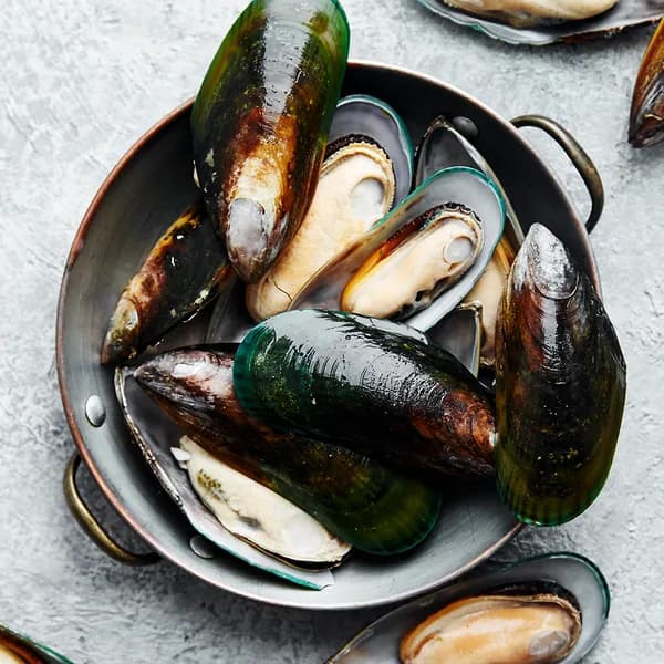 국내산 제철 햇 홍합 2kg