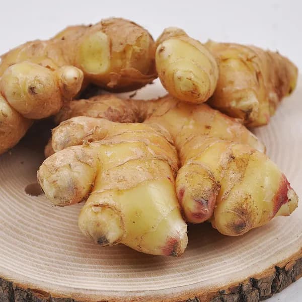 충남 서산 일반생강 특품 3kg 1개