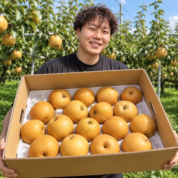 햇 나주배 가정용 3kg 1박스 8,900원