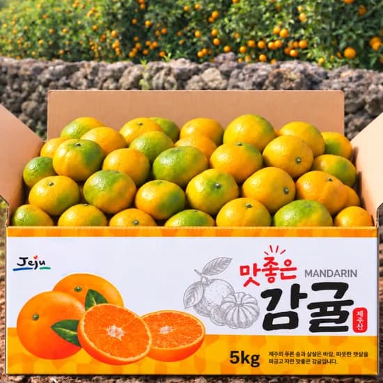 12brix 당도선별 제주 감귤 5kg 1박스