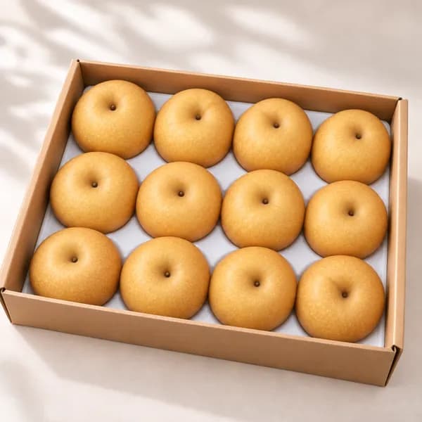 산들곳간 산지직송 제철 가정용 햇 배 5kg 1박스