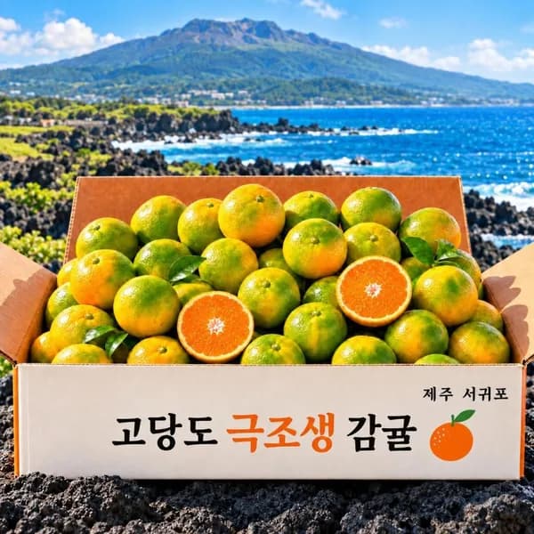 제주 고당도 극조생 감귤 12brix 당도선별 5kg 1박스 16,700원