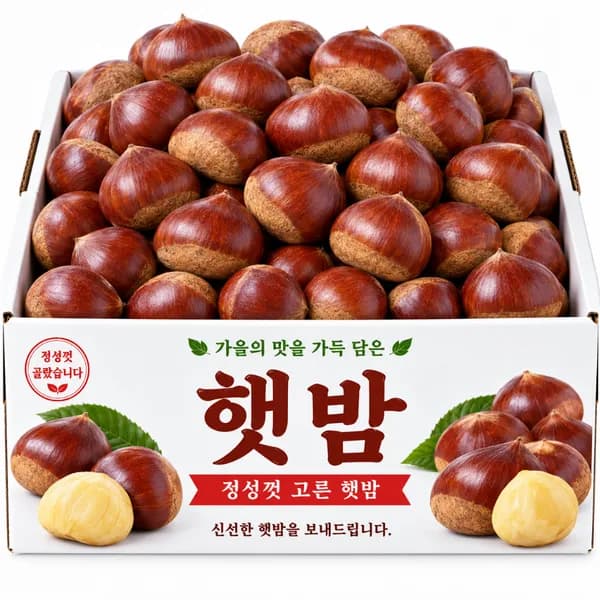 국내산 햇밤 1kg 1박스 11,300원