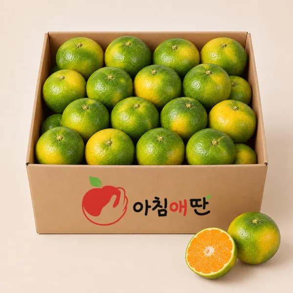 제주 노지 감귤 특품 중대과 10kg 1박스 19,900원