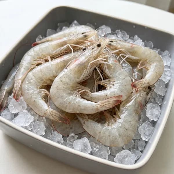 신안 횟감 활 왕새우 1kg 1봉