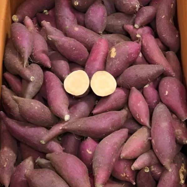 황토밭 소소쫄 한입크기 호박고구마 10kg 내외 1박스 12,970원